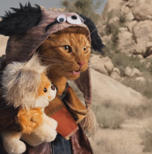 a5305b901d6836073274f66762c3c062b1fc082dd1e3ff807a0bbf6af4fec57c.gif