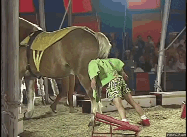 A9FD8A4A-CA69-471F-A6CB-B0A28C3EC6EA.gif