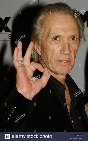 actor-david-carradine-who-plays-the-title-characther-bill-poses-for-the-media-during-the-oct-7...jpg