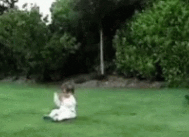 animated-fun-image-0378.gif