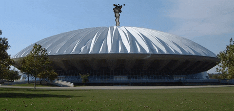 Animated GIF-downsized.gif