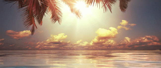 b9b97a1e8bae4c9e6cf6e492e7254717a064ec62.gif