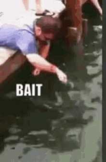 bait-attack.gif