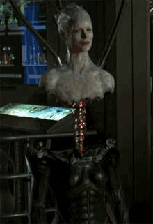 borg04.gif