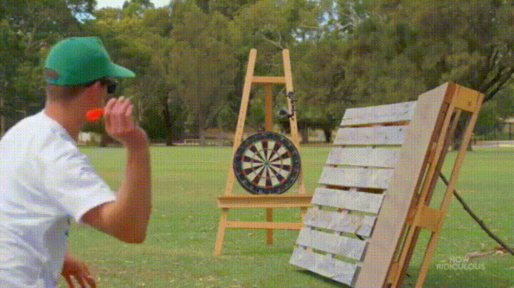 bullseye03.gif