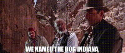 C3586E7F-F9AD-4E2D-8F6C-7B9E8E0D5754.gif