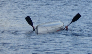 Canoe.PNG