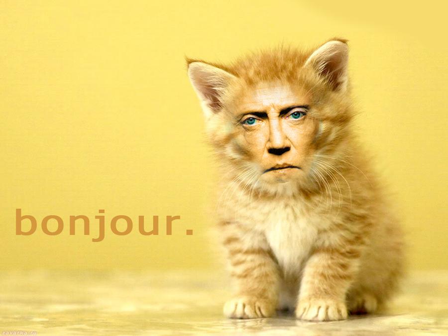 christopher_walken_cats_4_by_myownasylum.jpg