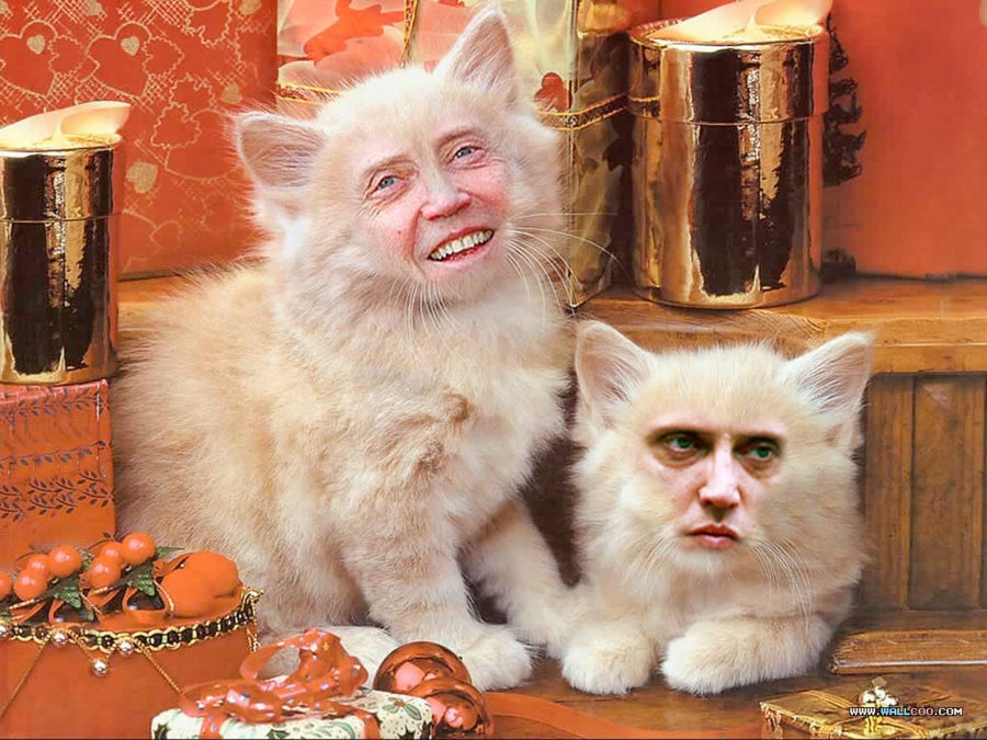 christopher_walken_cats_5_by_myownasylum-d38pg03.jpg