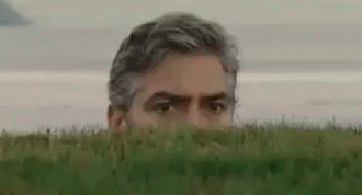 Clooney Descendants Hedge.gif