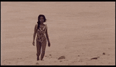 cm101.gif