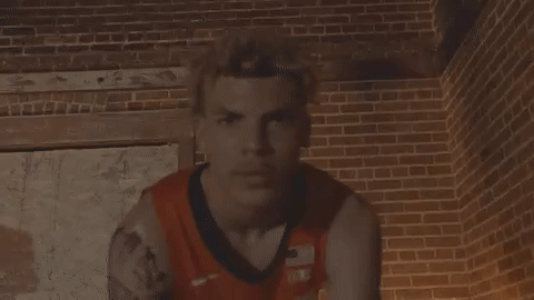 CoHawk.gif