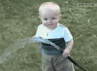 comedy-gif-3.gif