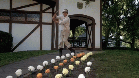 CShack - Driving Daisies.gif