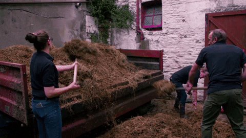D094930B-710C-4F36-9809-B2BC34798926.gif