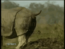 DDE8B5F5-7E92-4485-B128-66A34DD7F735.gif