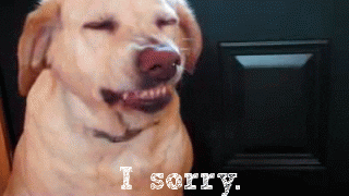 dog12.gif