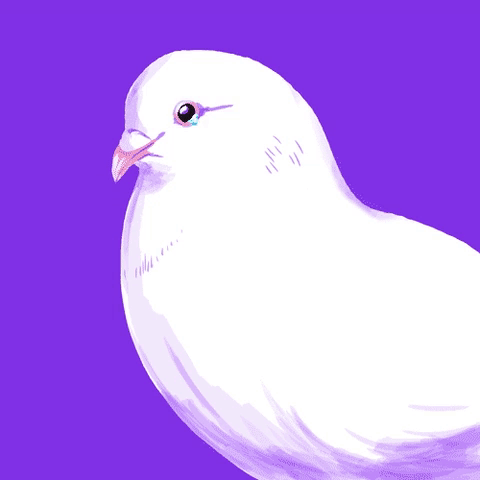 doves01.gif