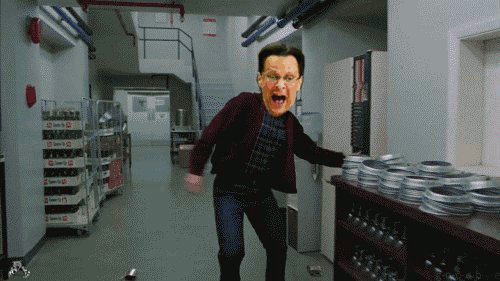 FaroffDopeyAnhinga-small.gif