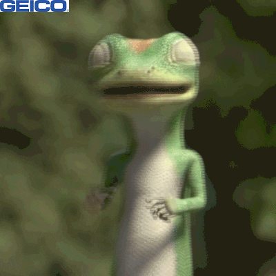 geico.gif