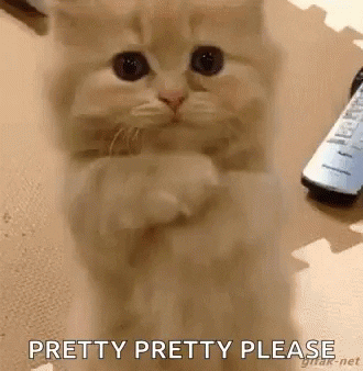 giphy-1.gif