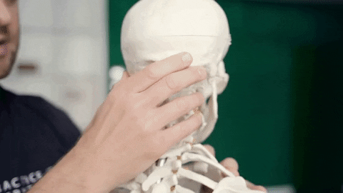 giphy-1.gif