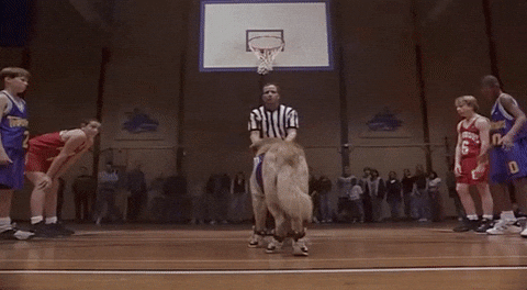 giphy-1.gif