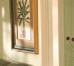 giphy (1).gif