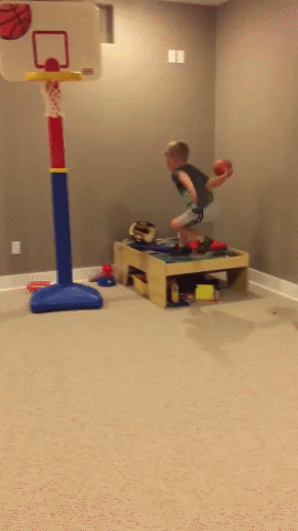 giphy (1).gif