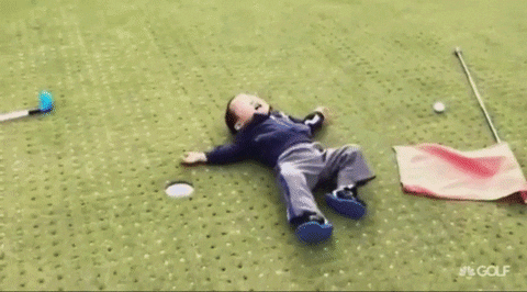 giphy (12).gif