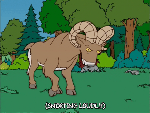 giphy (13).gif