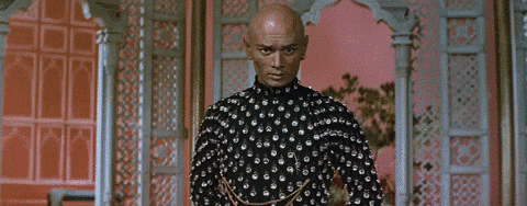 giphy (18).gif