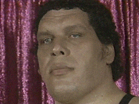 giphy (23).gif