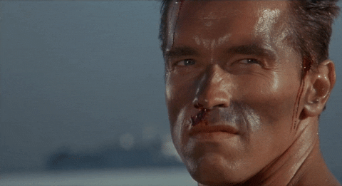 giphy-3.gif