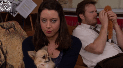 giphy-3.gif