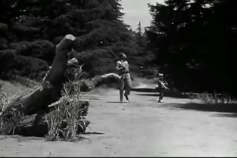 giphy (97).giag1.gif