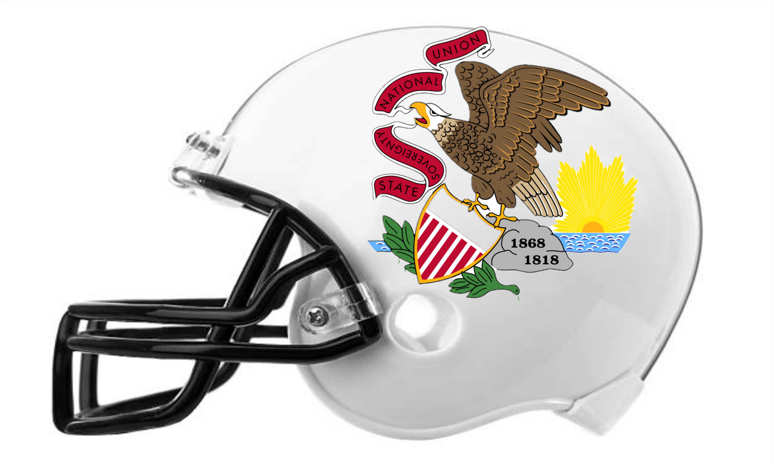 Illinois State Flag Helmet.png