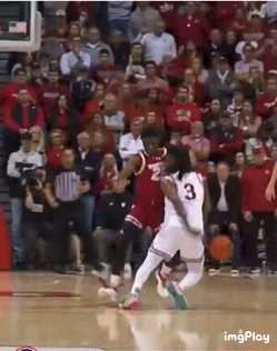 IMB_mwZC19.gif