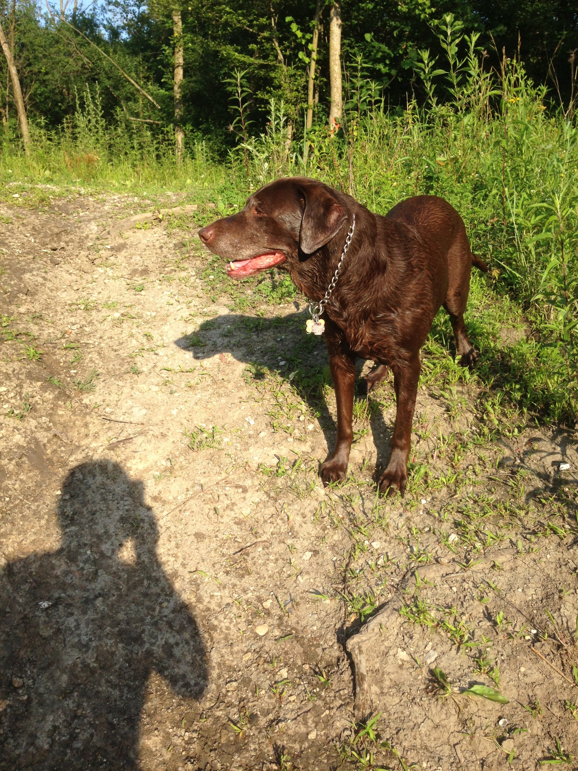 IMG_0031.jpeg
