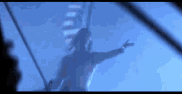 IMG_1405.gif