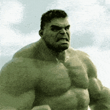 IMG_1699.gif