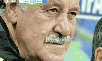 IMG_2139.gif