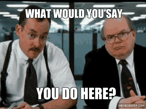IMG_2473.gif