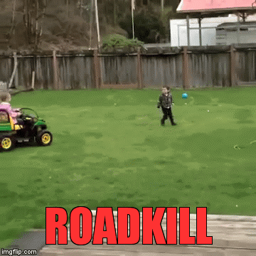 IMG_3152.gif