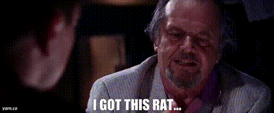IMG_3568.gif