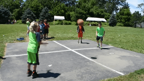 IMG_4336.gif