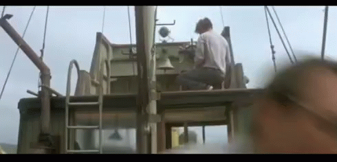 jaws-what-the.gif