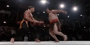 JCVD.gif