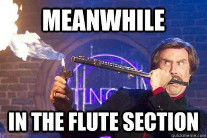 l-21324-meanwhile-in-the-flute-section.jpg