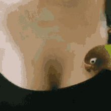 ll121.gif